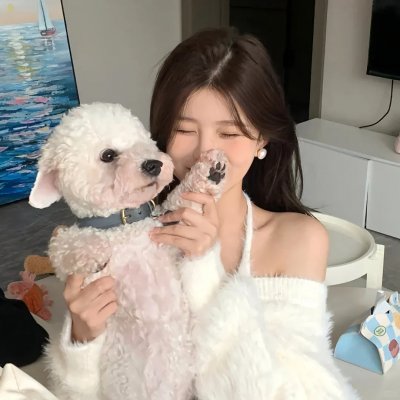 阿拉卡达的秘密